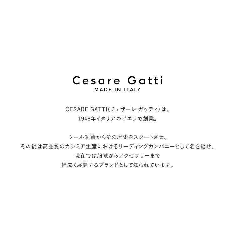 CesareGatti(チェザーレガッティ)/CHECKSTOLEチェックストール【2020秋冬】