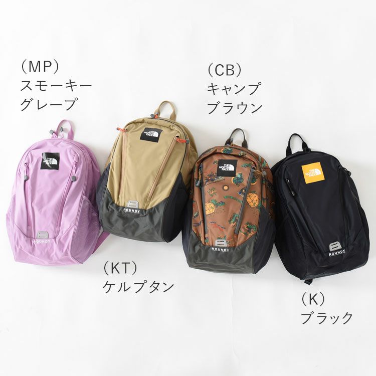 supreme × The North Face 22L バックパック グリーン