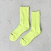 VIB SOCKS (RIB SOCKS)