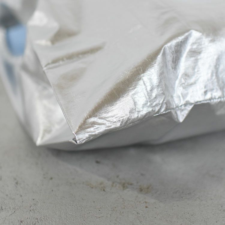 STANDARD BAGGU METALLIC スタンダードバグゥ メタリック