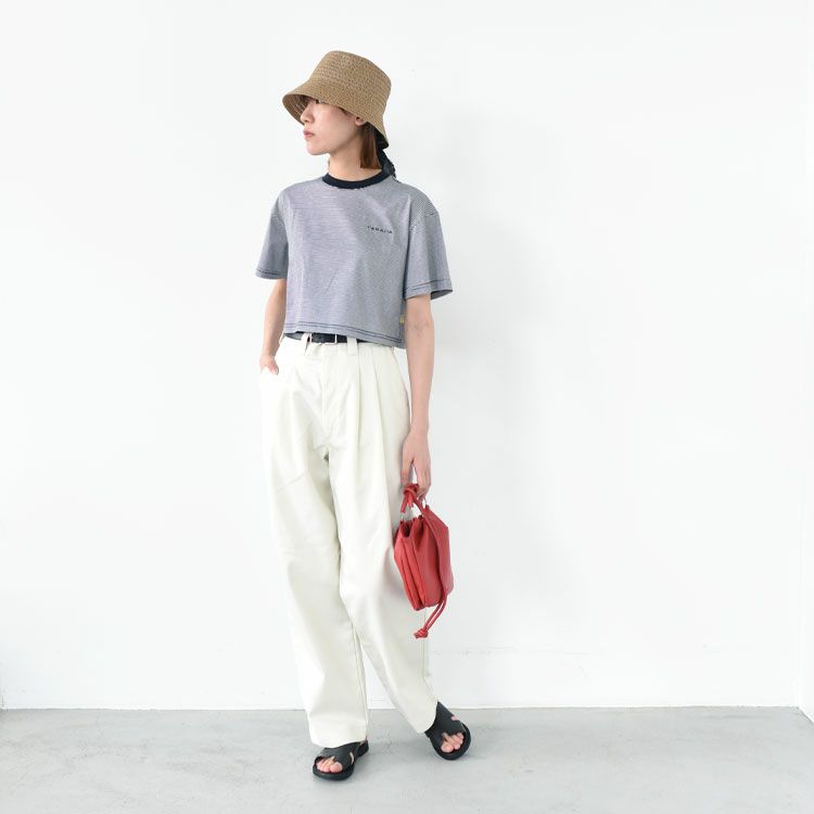 STRIPE SHORT T-SHIRT ストライプショートTシャツ