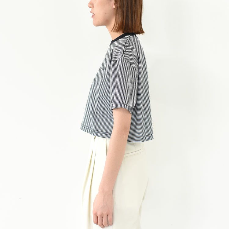 STRIPE SHORT T-SHIRT ストライプショートTシャツ