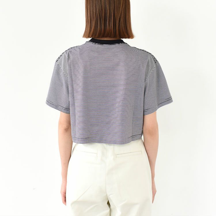 STRIPE SHORT T-SHIRT ストライプショートTシャツ