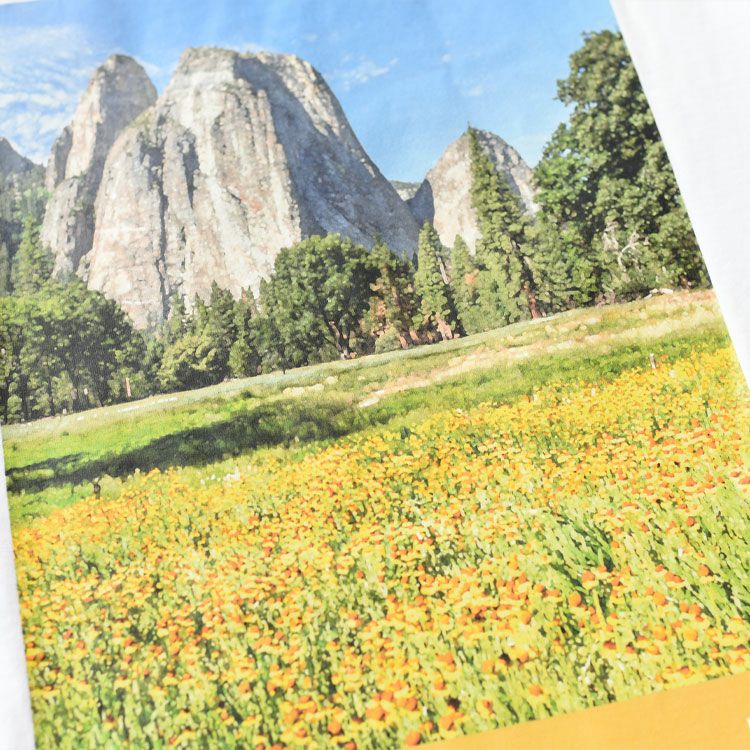 S/S YOSEMITE SCENERY TEE ショートスリーブヨセミテシーナリーティー（ユニセックス）