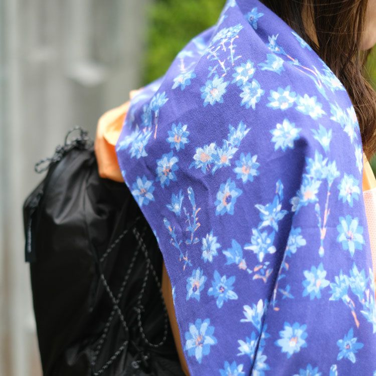 スポーツてぬぐい 山シリーズ