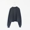 Field Cropped Tee フィールドクロップドTシャツ