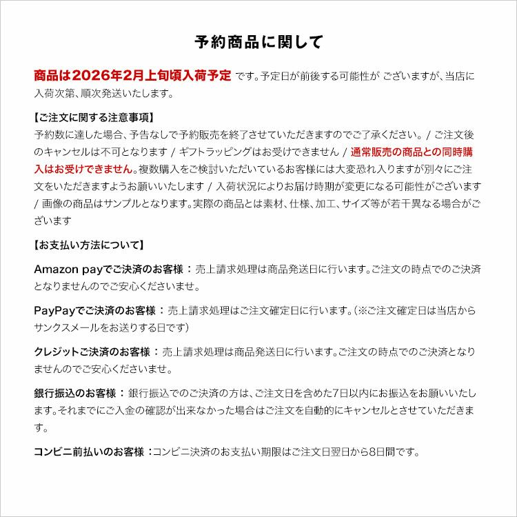 RECYCLED CORDURA POLYESTER 2WAY SHOULDER(S) リサイクルコーデュラポリエステル ショルダーバッグ Sサイズ