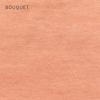 【OUTLET】OUESSANT ウエッソン【返品交換不可】