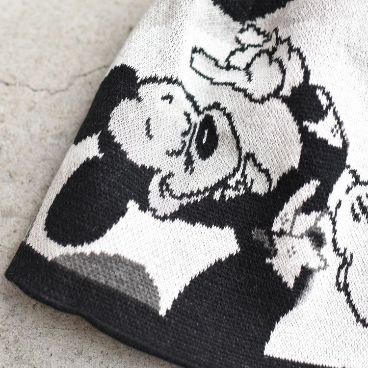 DISNEY VP / PC KNIT COLLECTION KNIT CAP ニットキャップ