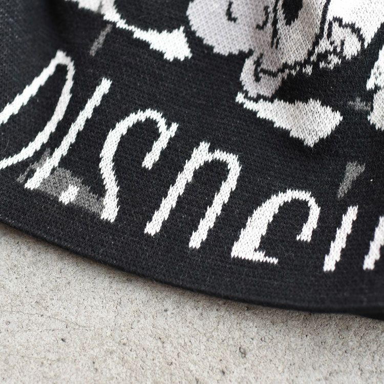 DISNEY VP / PC KNIT COLLECTION KNIT CAP ニットキャップ