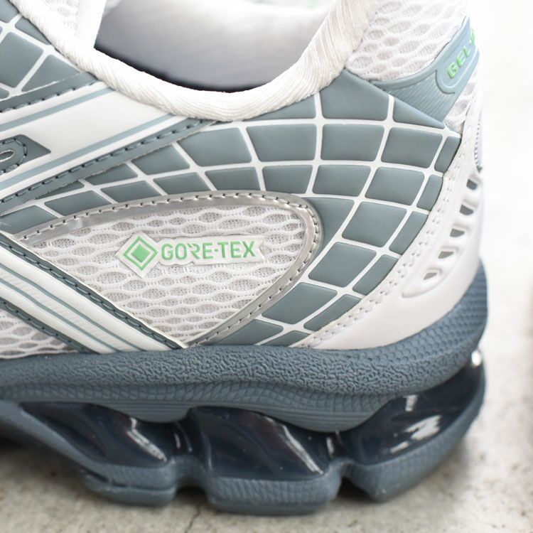 GEL-NIMBUS 10.1 GTX ゲルニンバス