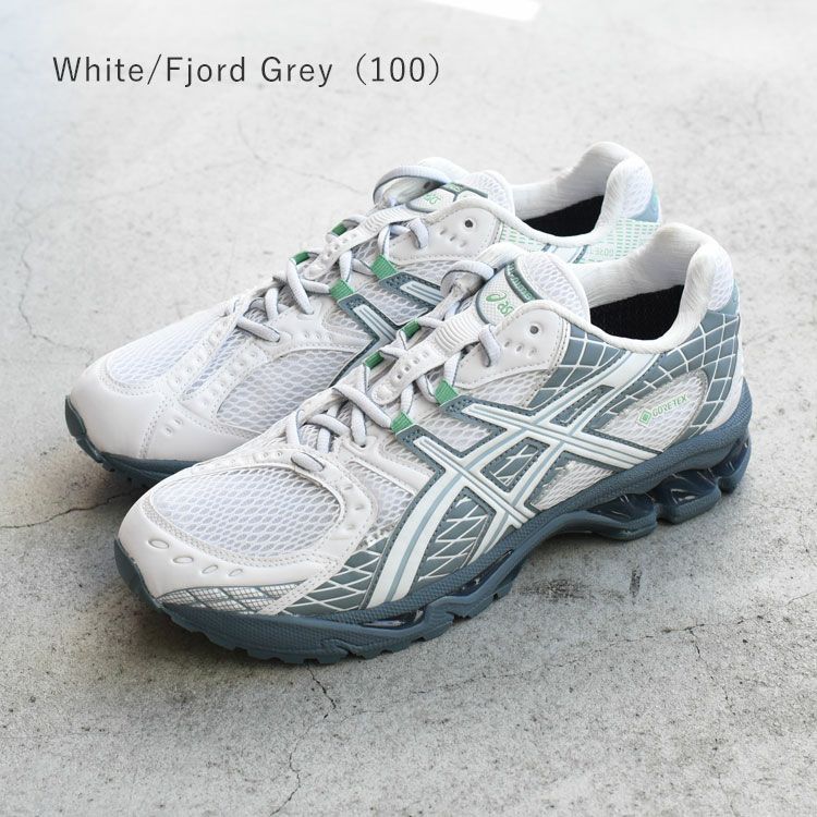 GEL-NIMBUS 10.1 GTX ゲルニンバス