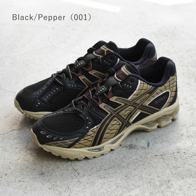 GEL-NIMBUS 10.1 GTX ゲルニンバス